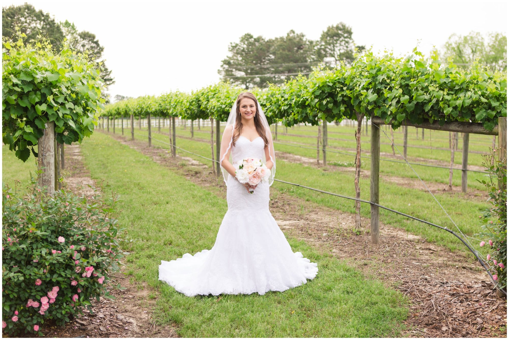 Duplin Winery Bridals In Rose Hill Nc Ashley Potts Millice Enjoy My Favorites Of Ashley S Bridal Portraits And Be On The Lookout For Millice Wedding Day Blog Post
